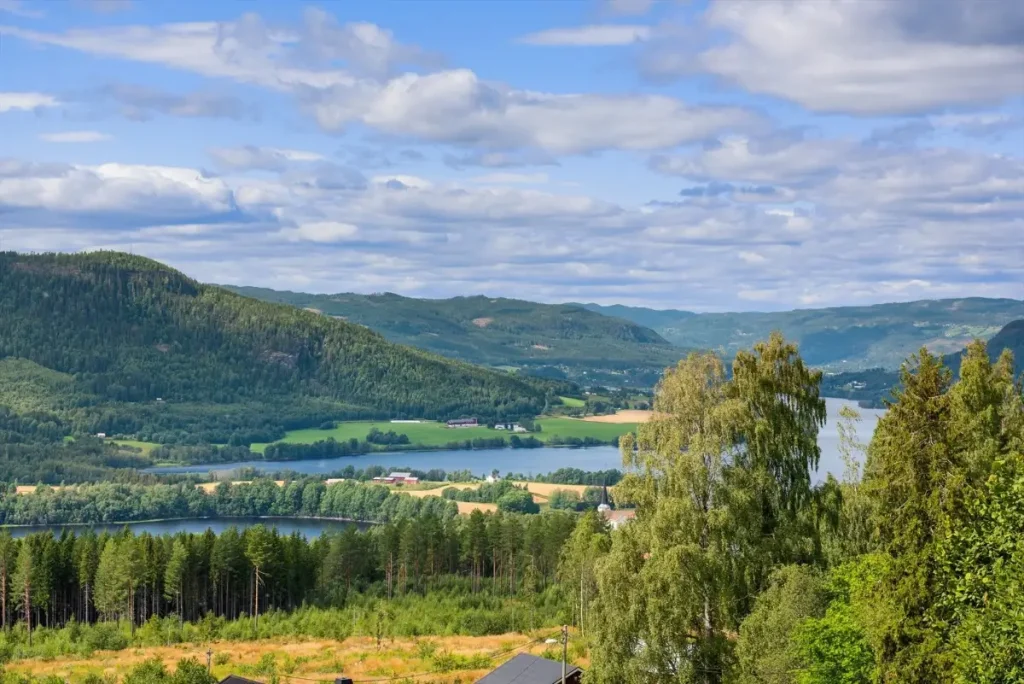 fluberg-east-norway-cheapscandihomes10