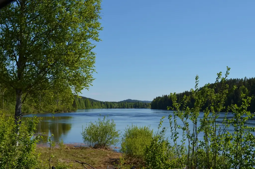 timber-home-river-views-north-sweden-cheapscandihomes