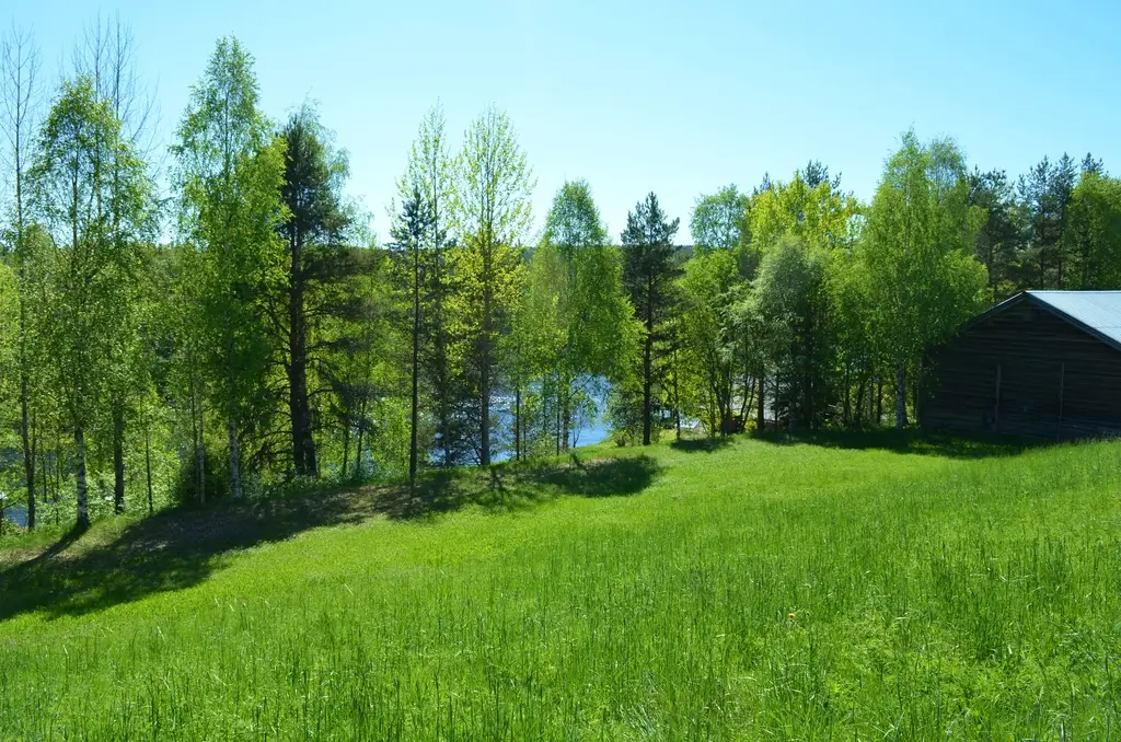 timber-home-river-views-north-sweden-cheapscandihomes