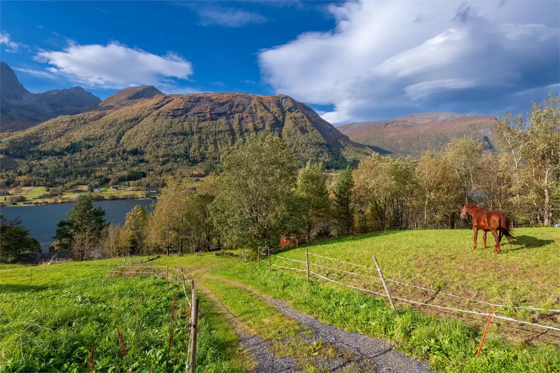 traditional-norwegian-wooden-cottage-fjord-west-norway-cheapscandihomes