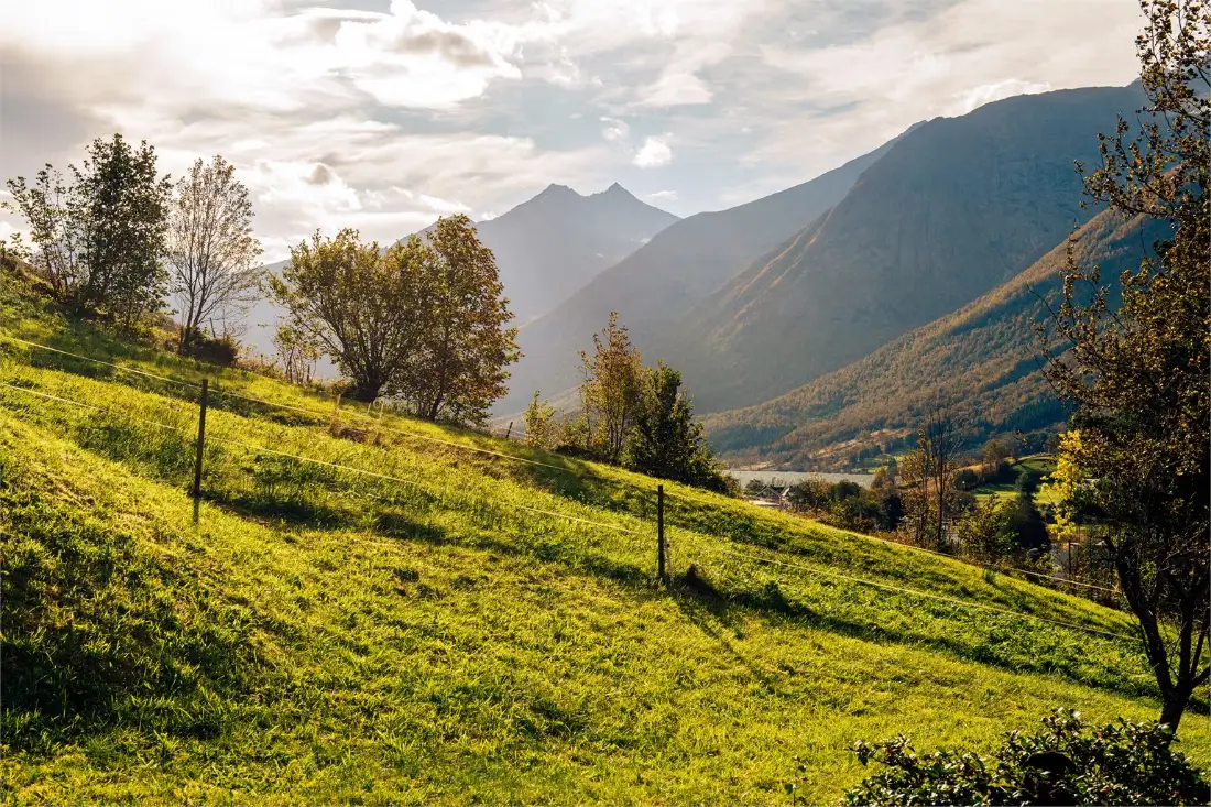 traditional-norwegian-wooden-cottage-fjord-west-norway-cheapscandihomes
