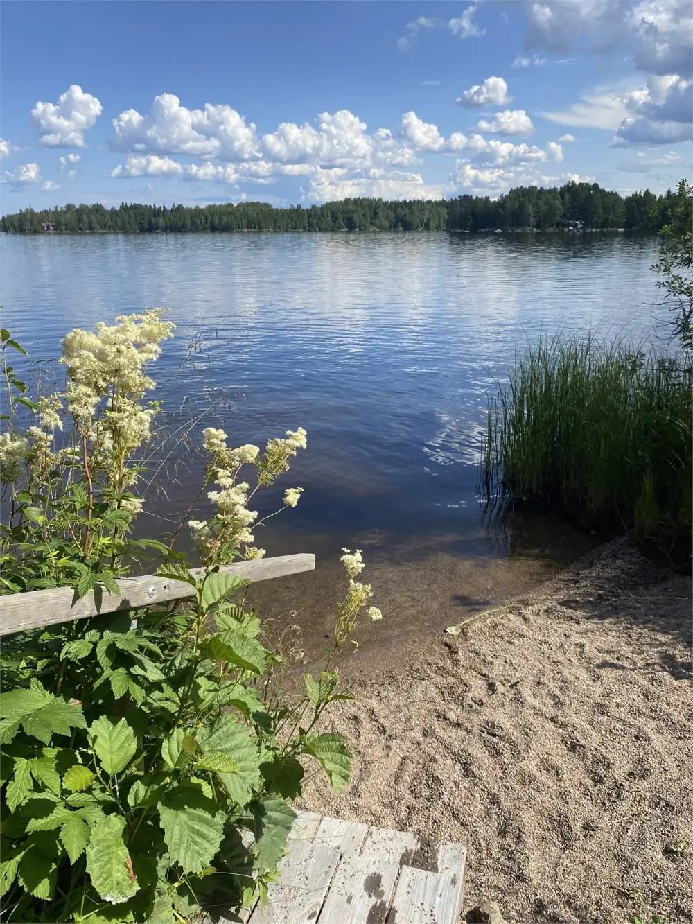 19th-century-country-cottage-large-garden-outbuidlings-central-sweden-cheapscandihomes