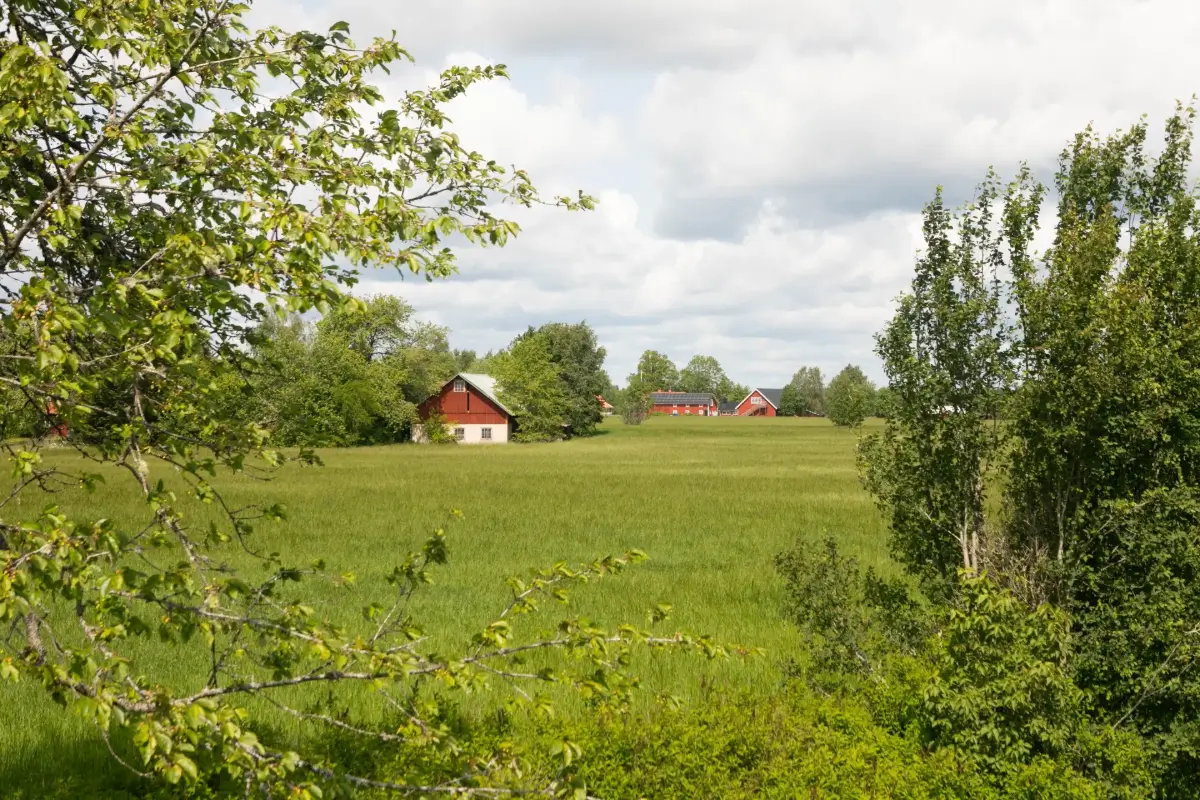 cozy-1930s-house-guest-houses-south-central-sweden-cheapscandihomes