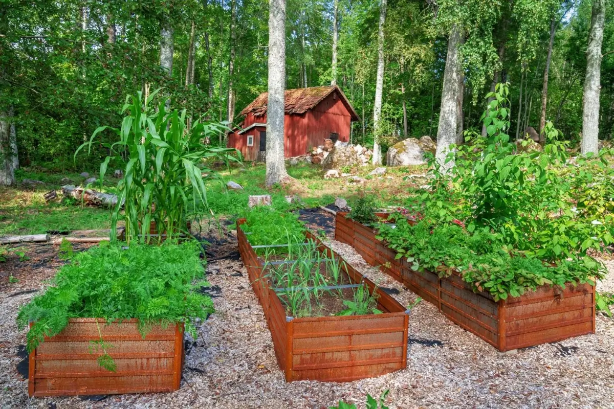 renovated-early-20th-century-cottage-large-garden-central-sweden-cheapscandihomes