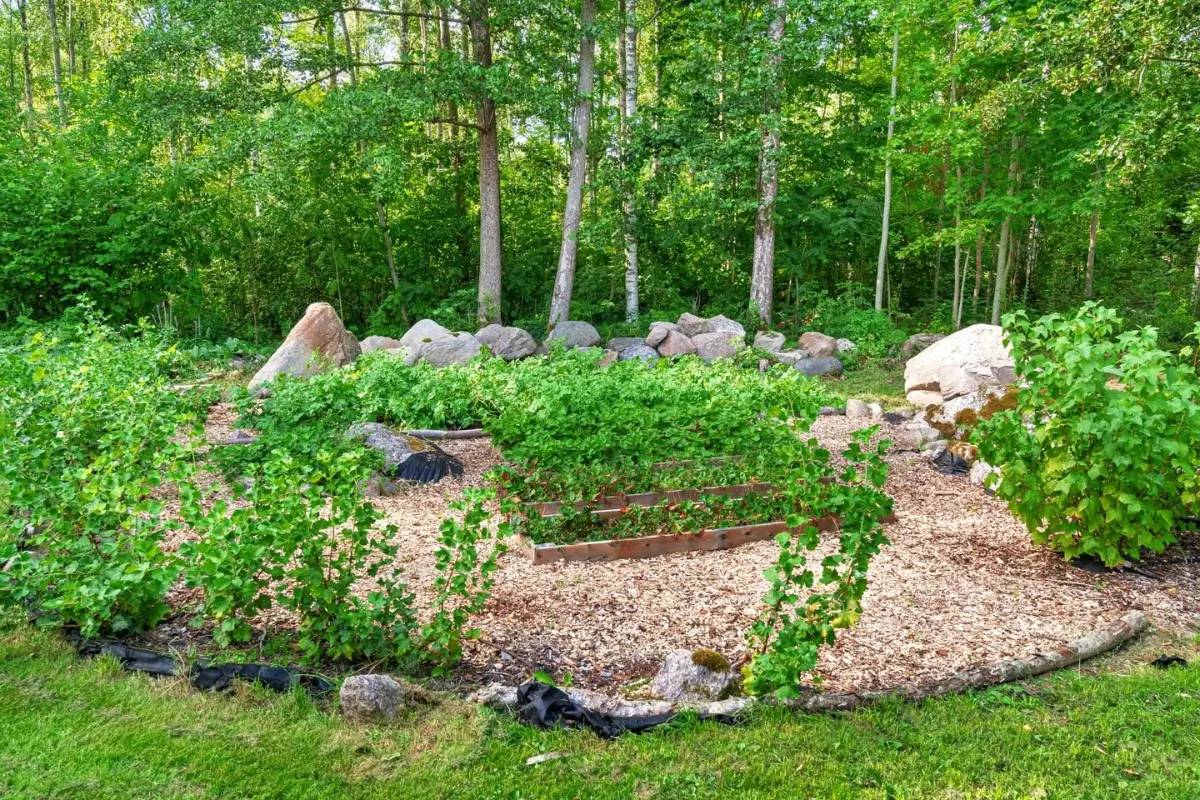 renovated-early-20th-century-cottage-large-garden-central-sweden-cheapscandihomes