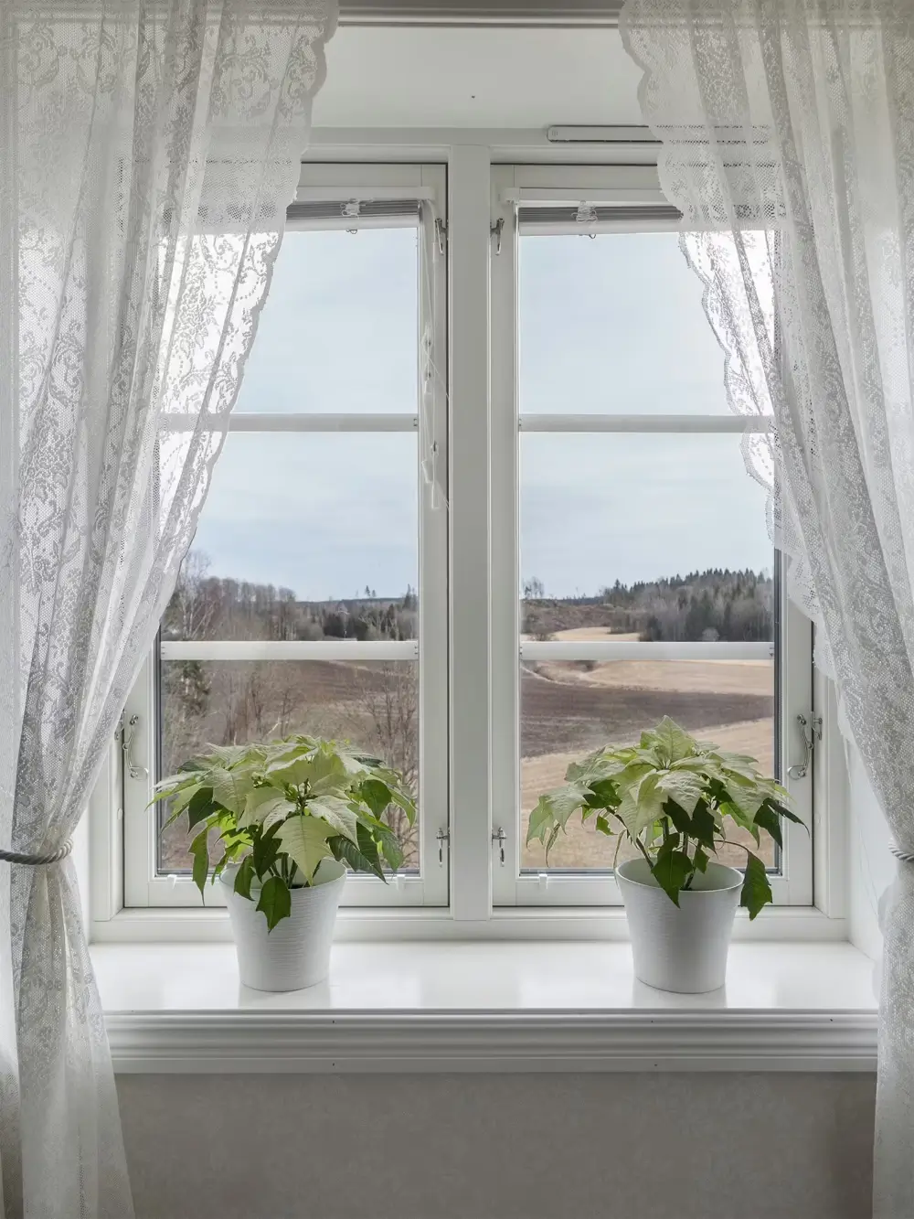 renovated-small-horse-farm-south-west-sweden-cheapscandihomes
