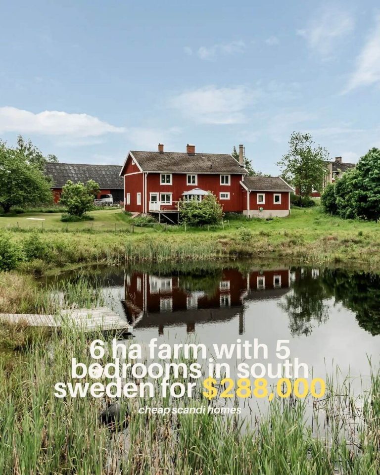 six-hectare-farm-south-sweden-cheapscandihomes