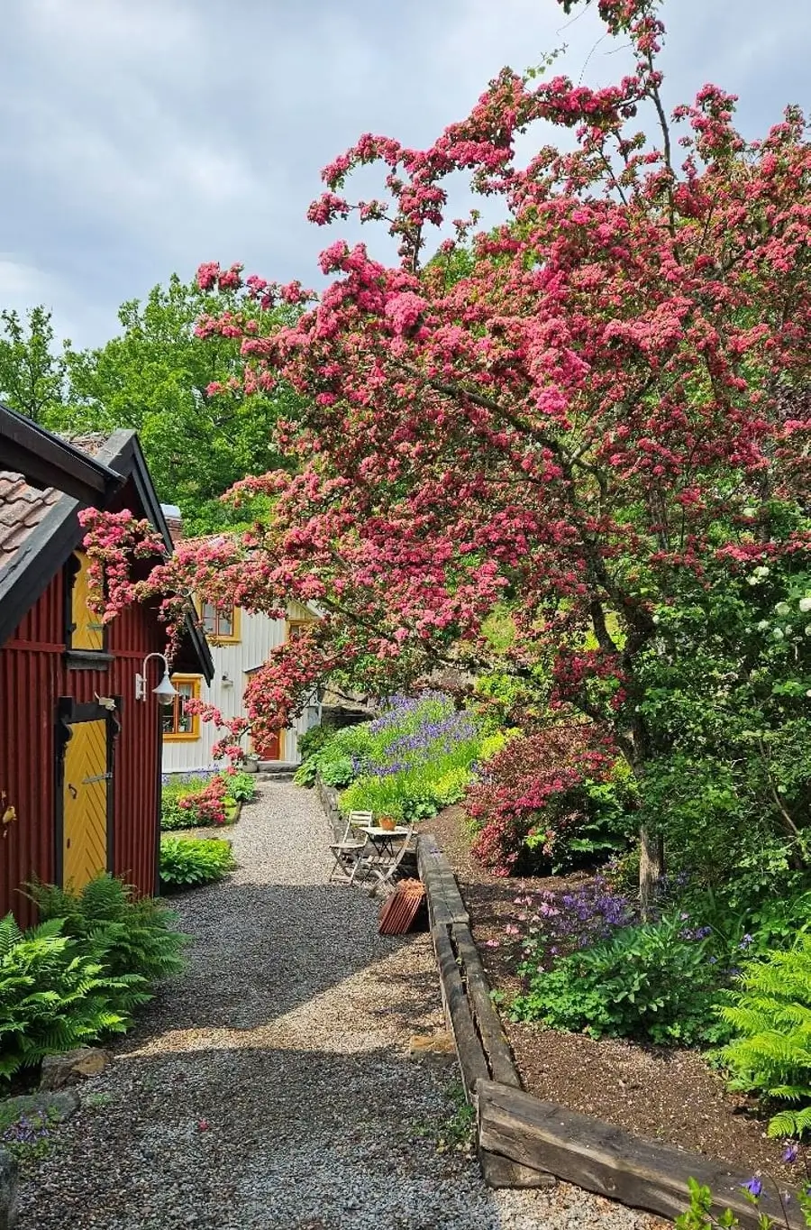 renovated-19th-century-home-south-west-sweden-cheapscandihomes