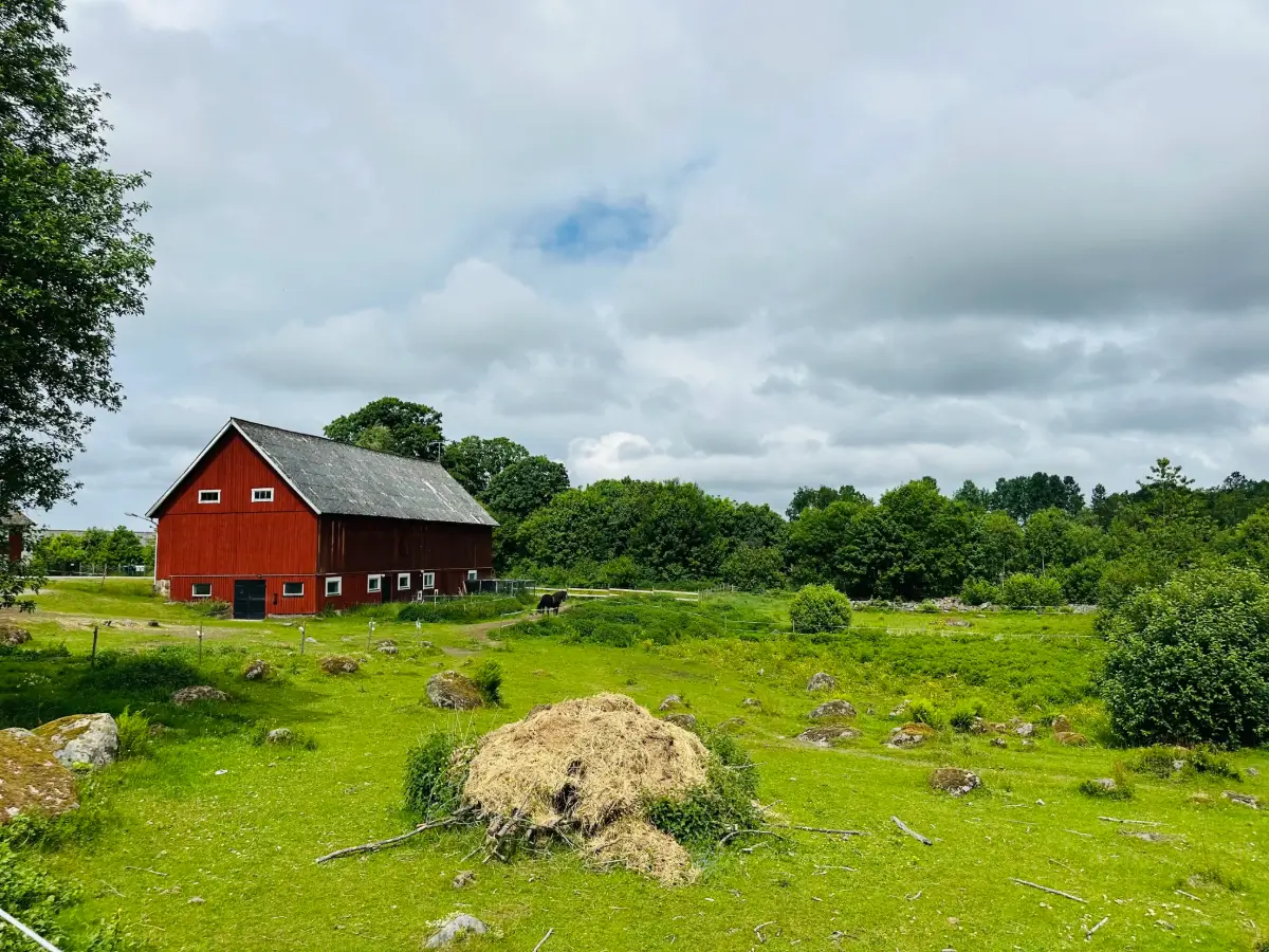 six-hectare-farm-south-sweden-cheapscandihomes