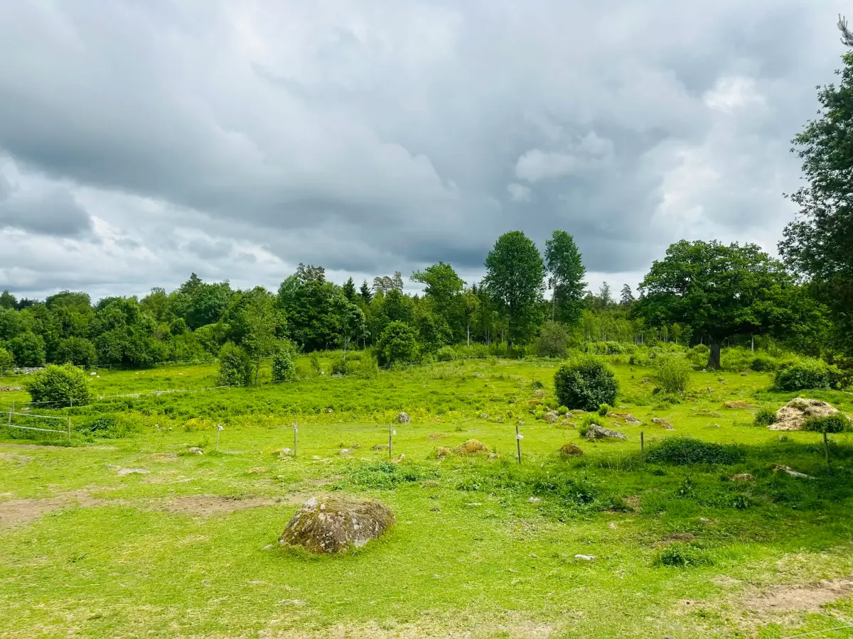six-hectare-farm-south-sweden-cheapscandihomes