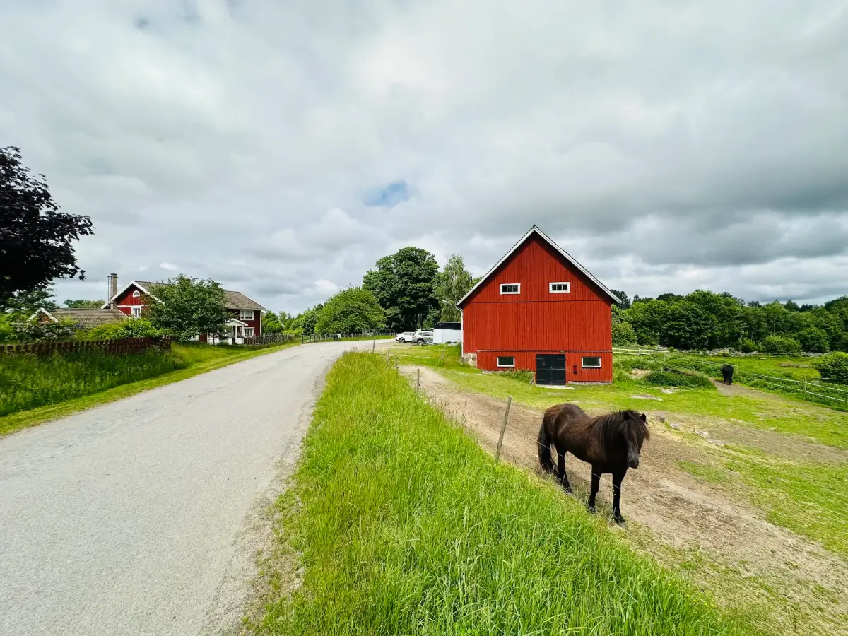 six-hectare-farm-south-sweden-cheapscandihomes