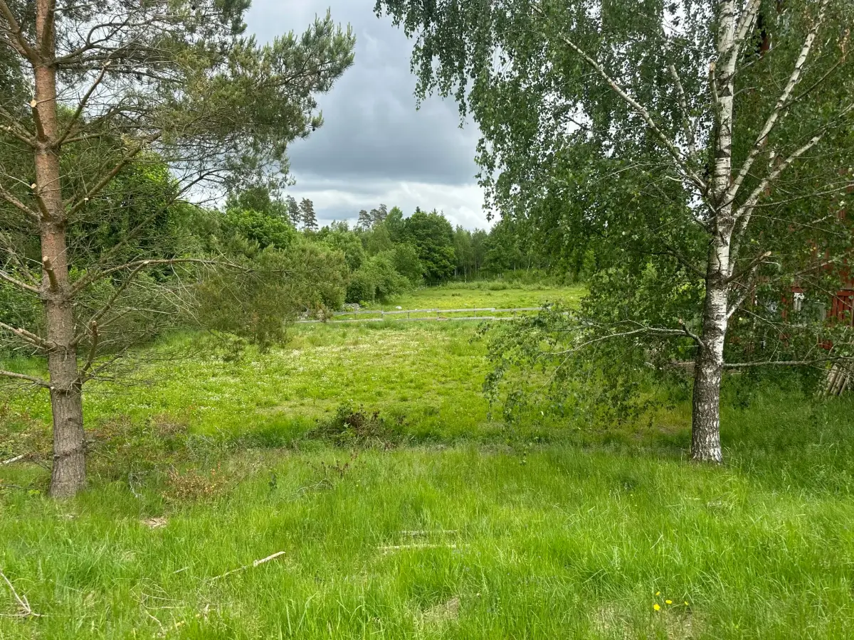 six-hectare-farm-south-sweden-cheapscandihomes